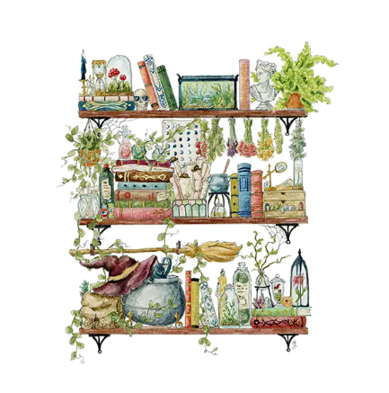 Art Print - 8x10 - The Witch's Shelves by Lizzy Gass