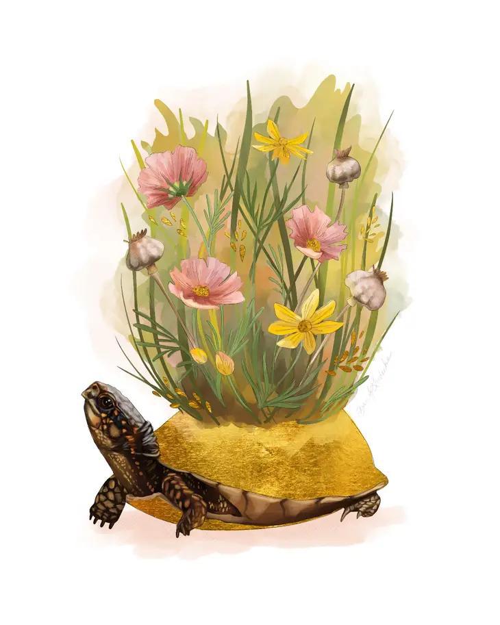 Art Print - 8x10 - Garden Turtle by Darcy Goedecke