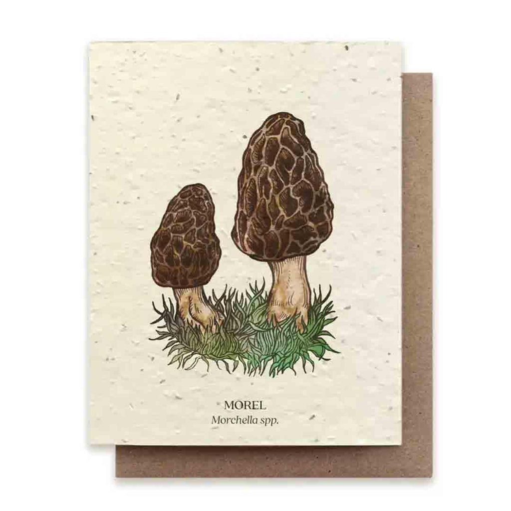 Card - Morel Mushroom Plantable Herb Card by Small Victories (formerly The Bower Studio)