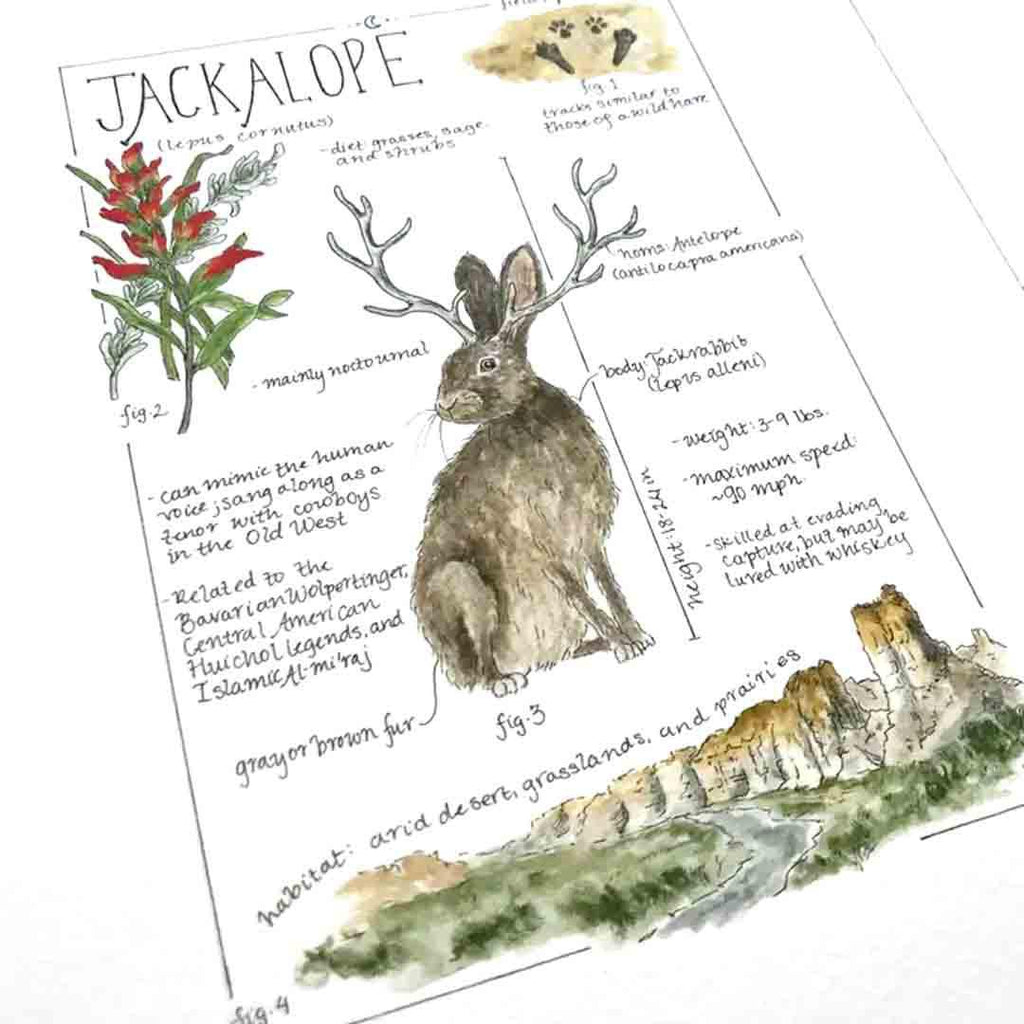 Art Print - 8x10 - Jackalope Field Notes by Lizzy Gass