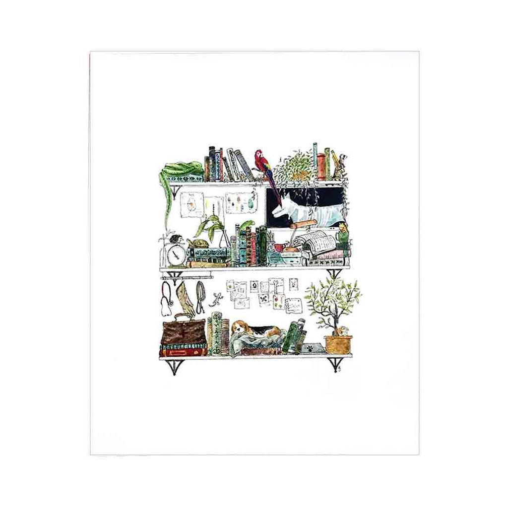 Art Print - 8x10 - The Veterinarian's Shelves by Lizzy Gass