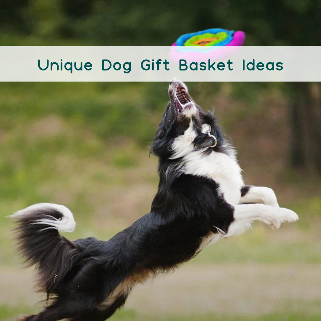 Unique Dog Gift Basket Ideas