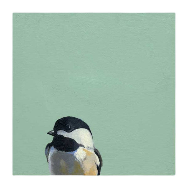 The Mincing Mockingbird