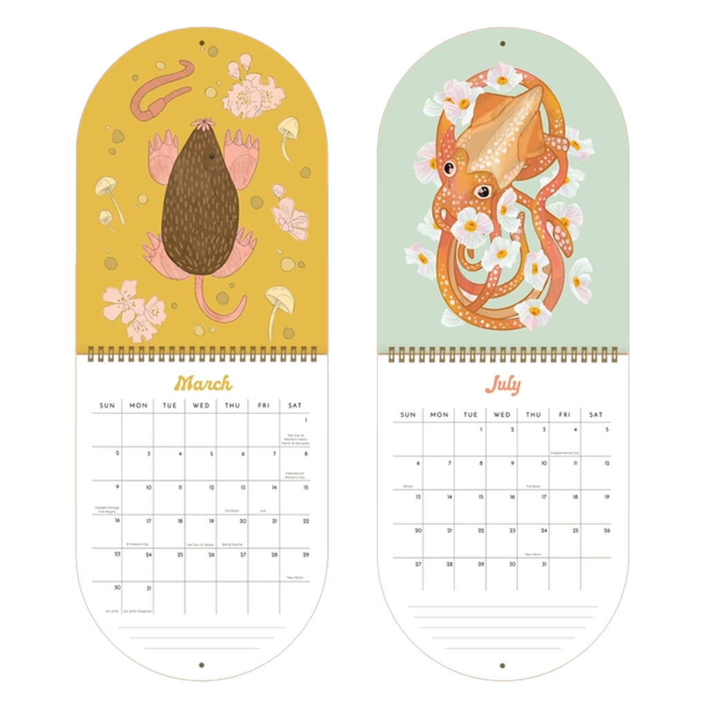 Calendar - 2025 Whimsy & Wonder Calendar by Darcy Goedecke