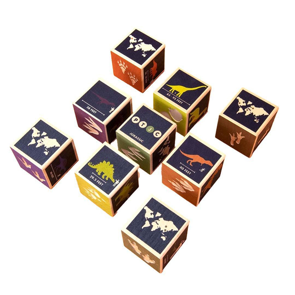 Blocks - Dinosaurs (Set of 9) by Uncle Goose