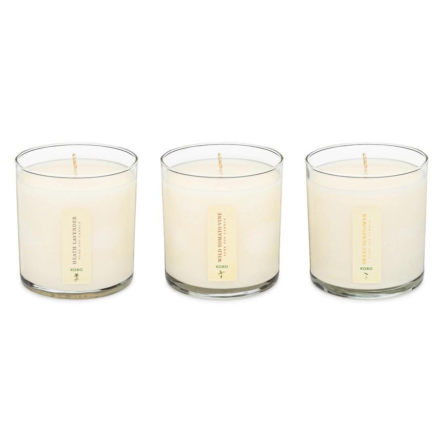Candle - Endless Summer Trio with Plantable Box by KOBO
