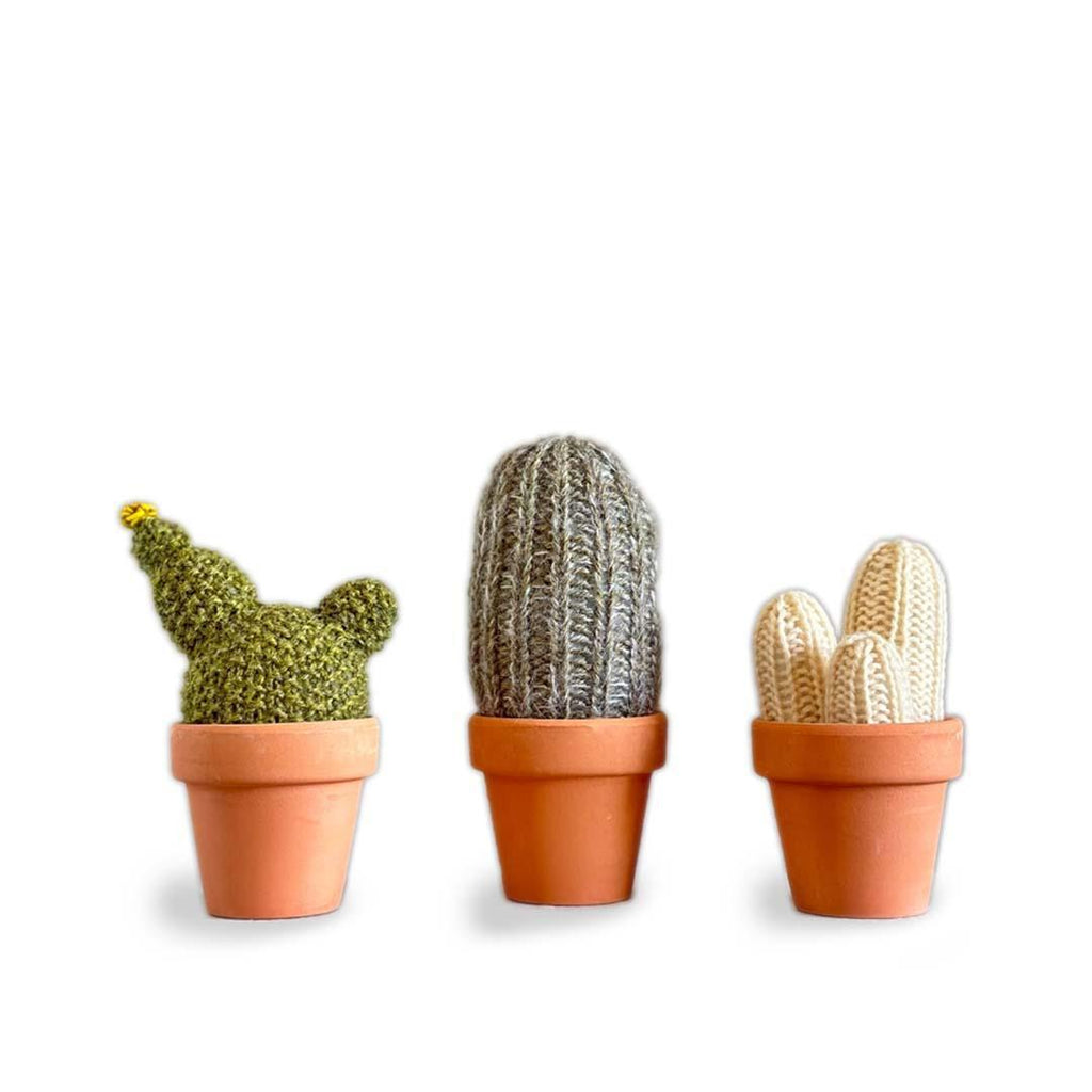 DIY Kit - Set 2 - Crochet A Prickle of Cactus (includes Bonus Tool Kit) by eM knits