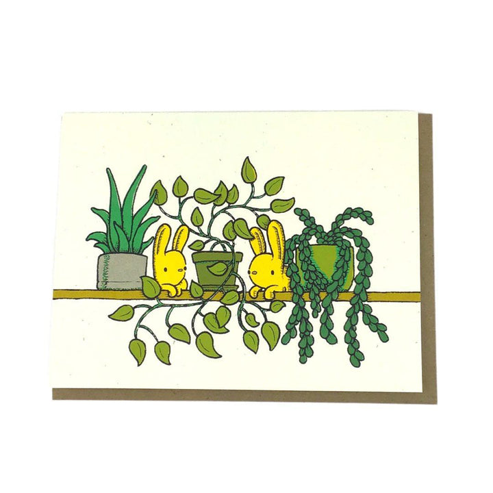 Card - All Occasion - Plant Shelf by Everyday Balloons Print Shop