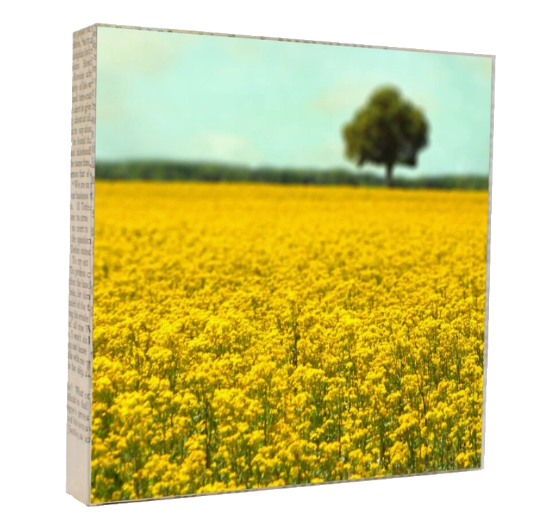 Art Block - Yellow Fields by MKC Photography