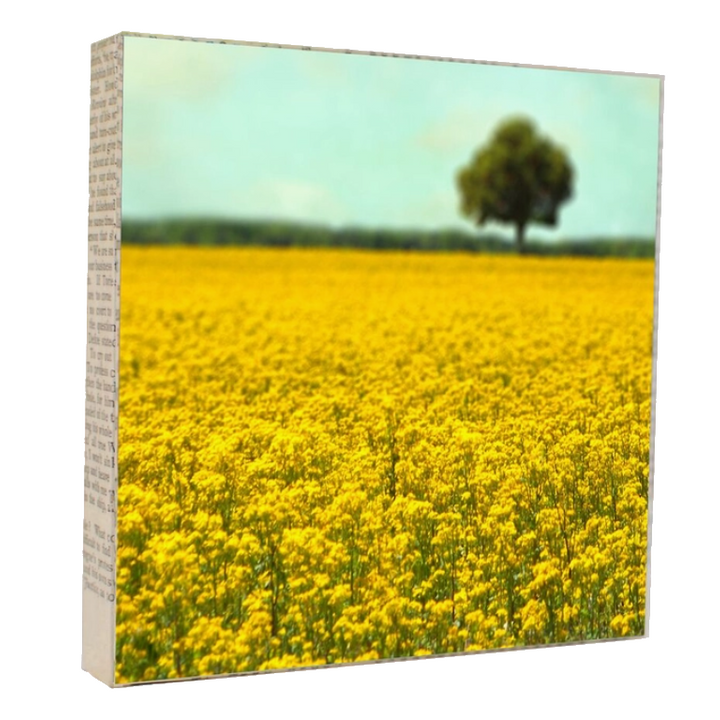 Art Block - Yellow Fields by MKC Photography