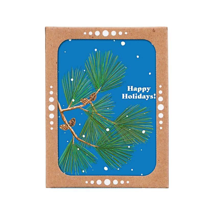 Card Set of 6 - Holiday - Pine Branch Holiday by Orange Twist