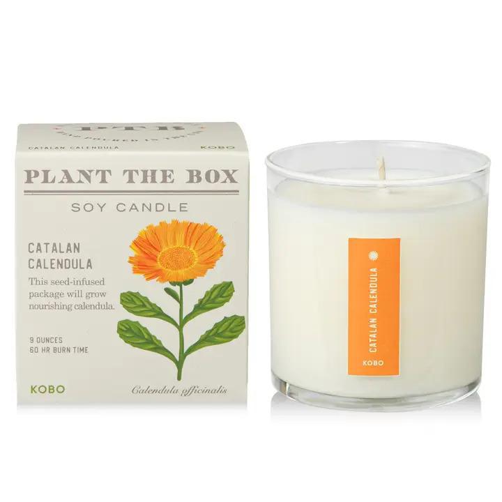 Candle - Catalan Calendula with Plantable Box by KOBO
