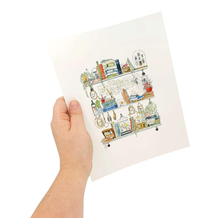 Art Print - 8x10 - The Biologist's Shelves by Lizzy Gass