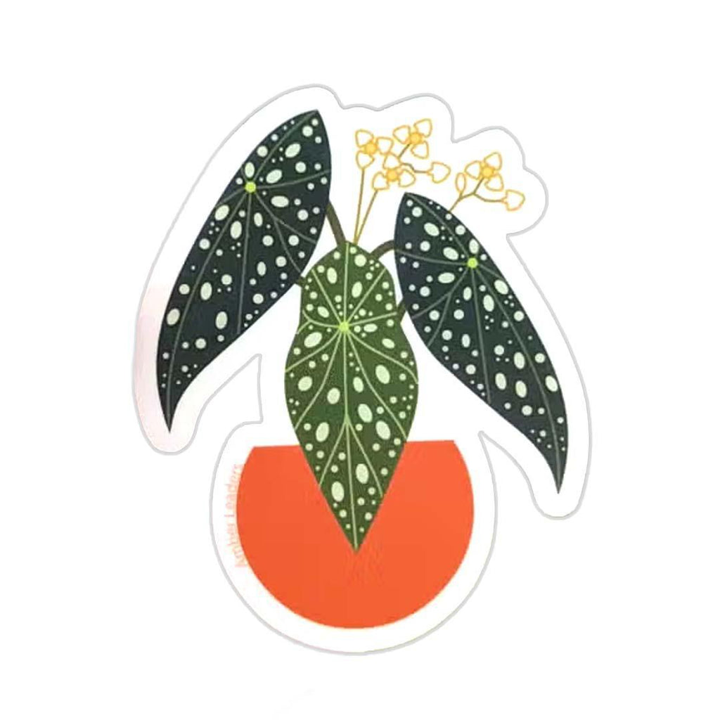 Sticker - Polka Dot Begonia by Amber Leaders Designs