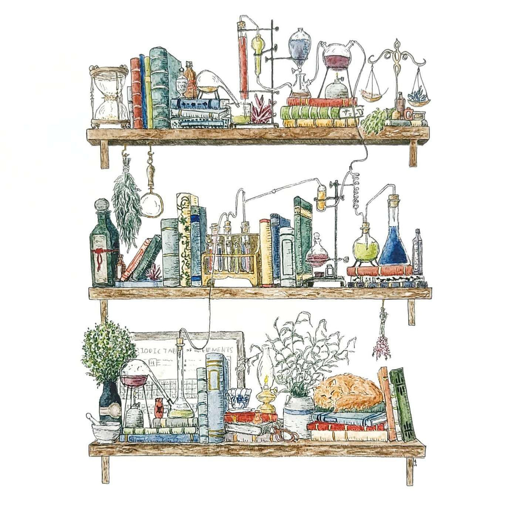 Art Print - 8x10 - The Chemist's Shelves by Lizzy Gass