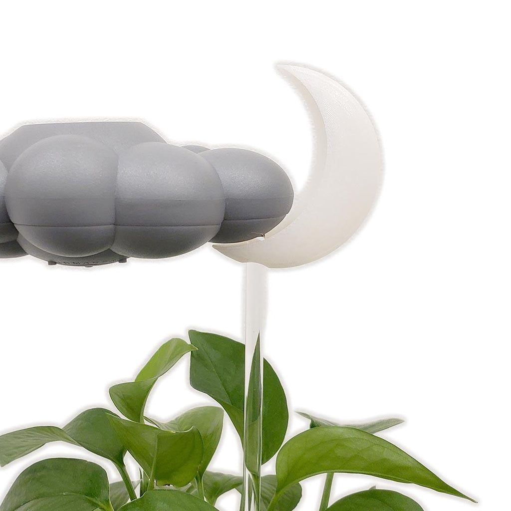 Bundle - Gray Cloud Plant Waterer with Choice of Charm by The Cloud Makers