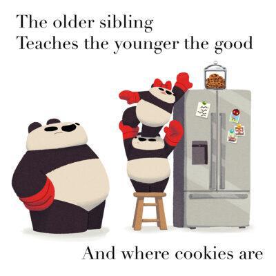 Book 3 - WHY is Panda Fat? (Hardcover or Softcover) by Punching Pandas