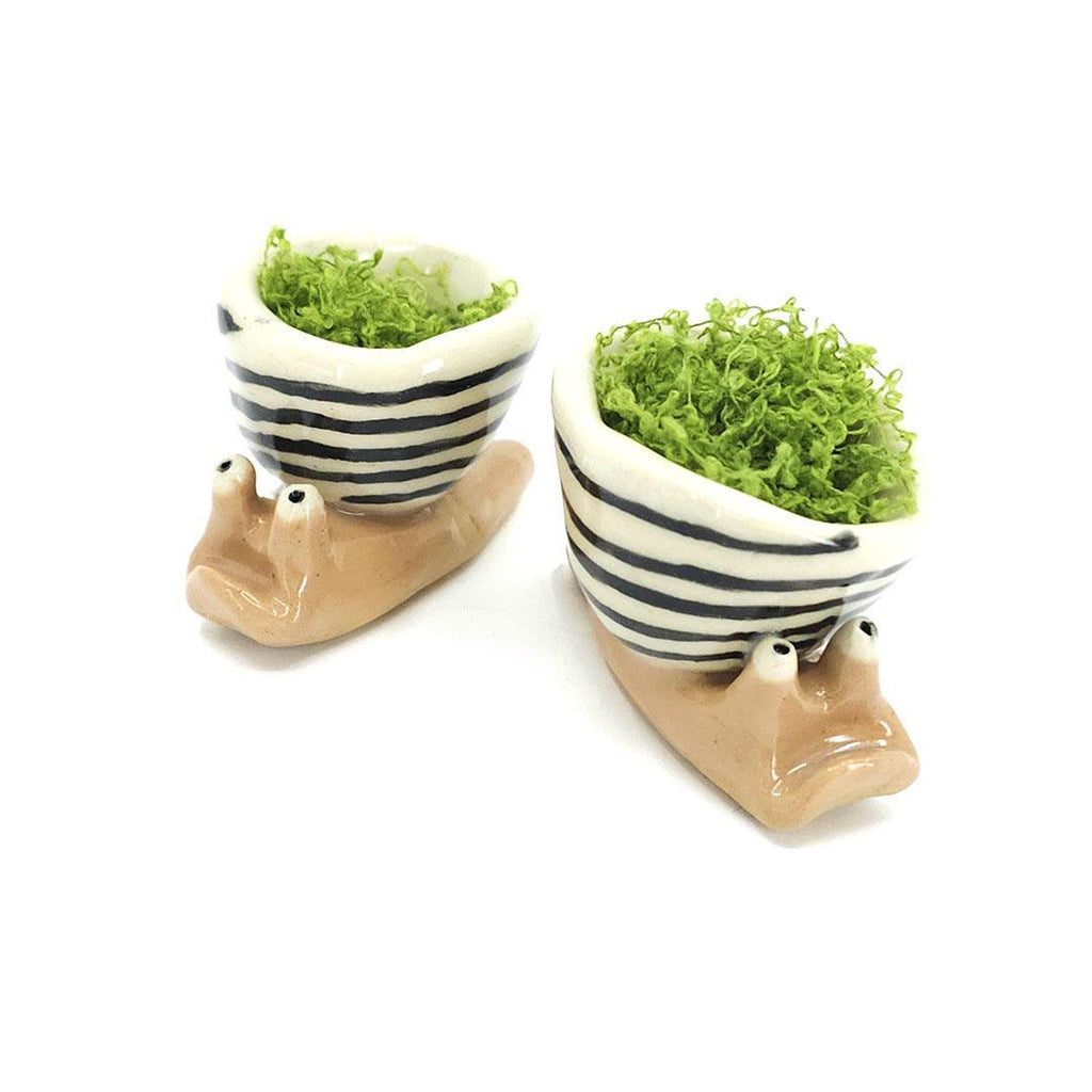 Collectible - Large - Snail Tiny Planter  (Black White Stripes) by Joyce Chen