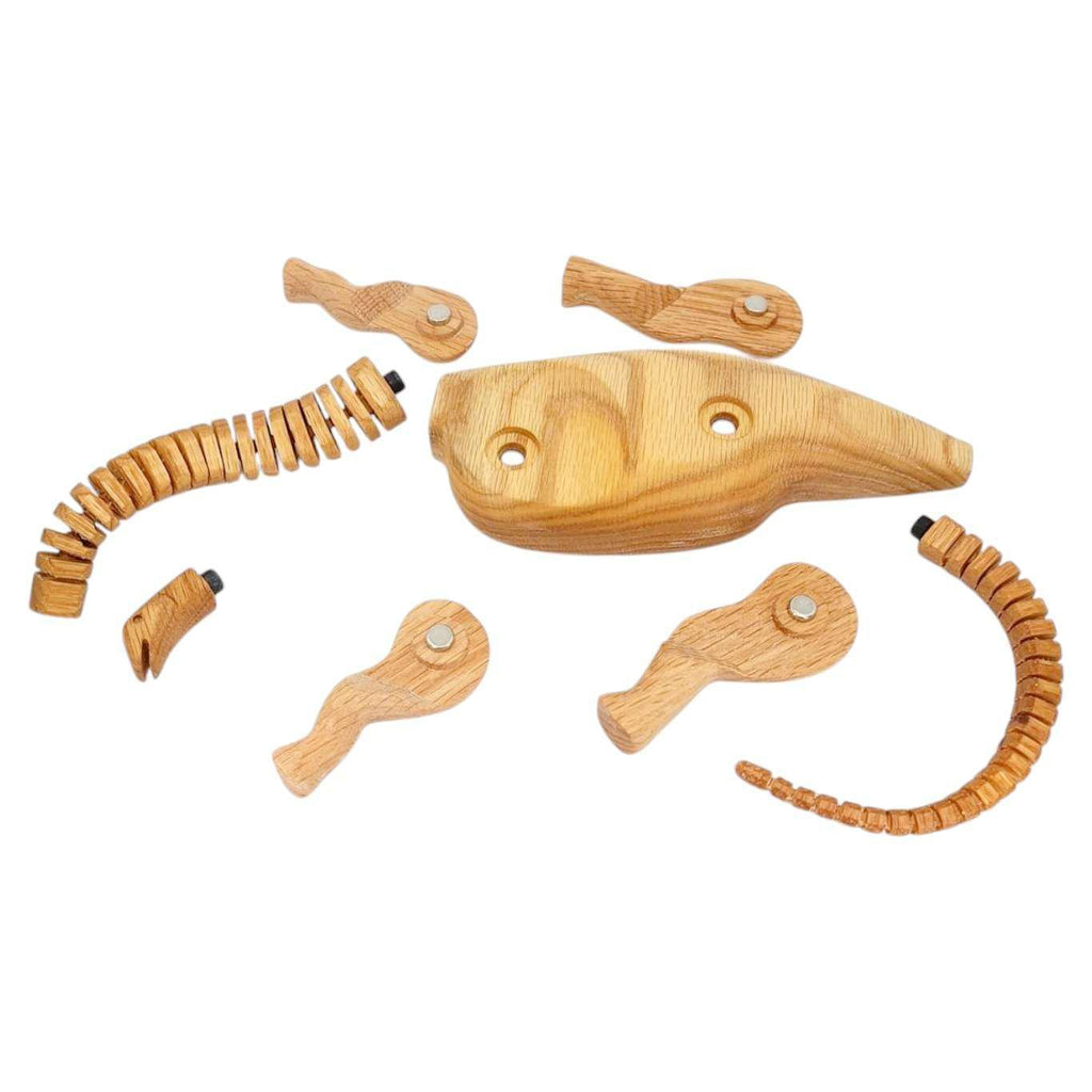 Wood Toy - Apatosaurus Dinosaur with Magnetic Joints by The Serious Toy Company