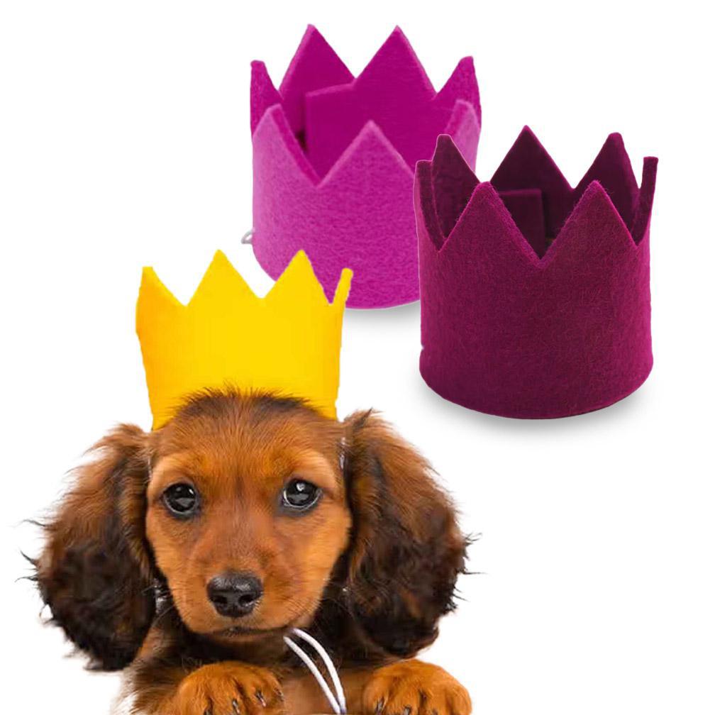 Pet Hat - Party Beast Crown (Assorted Colors) by Modernbeast