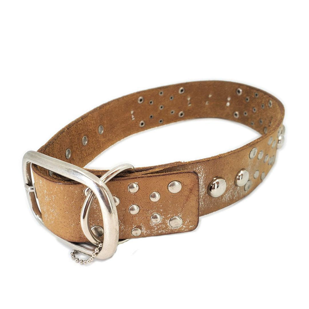 Dog Collar - M-L - Silver Studs by Greenbelts