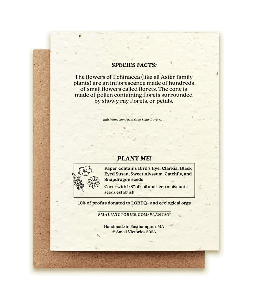 Card - Echinacea Plantable Wildflower Seed Card by Small Victories