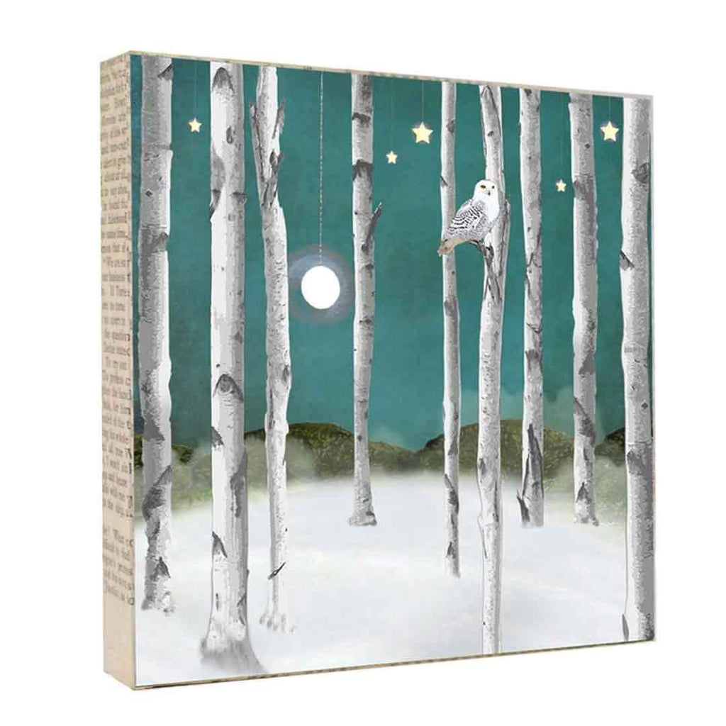 Art Block - Snow owl by MKC Photography