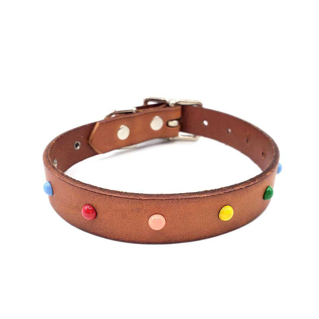 Dog Collar - S - Brown with Multicolor Studs by Greenbelts