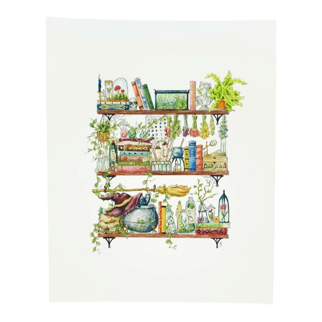 Art Print - 8x10 - The Witch's Shelves by Lizzy Gass
