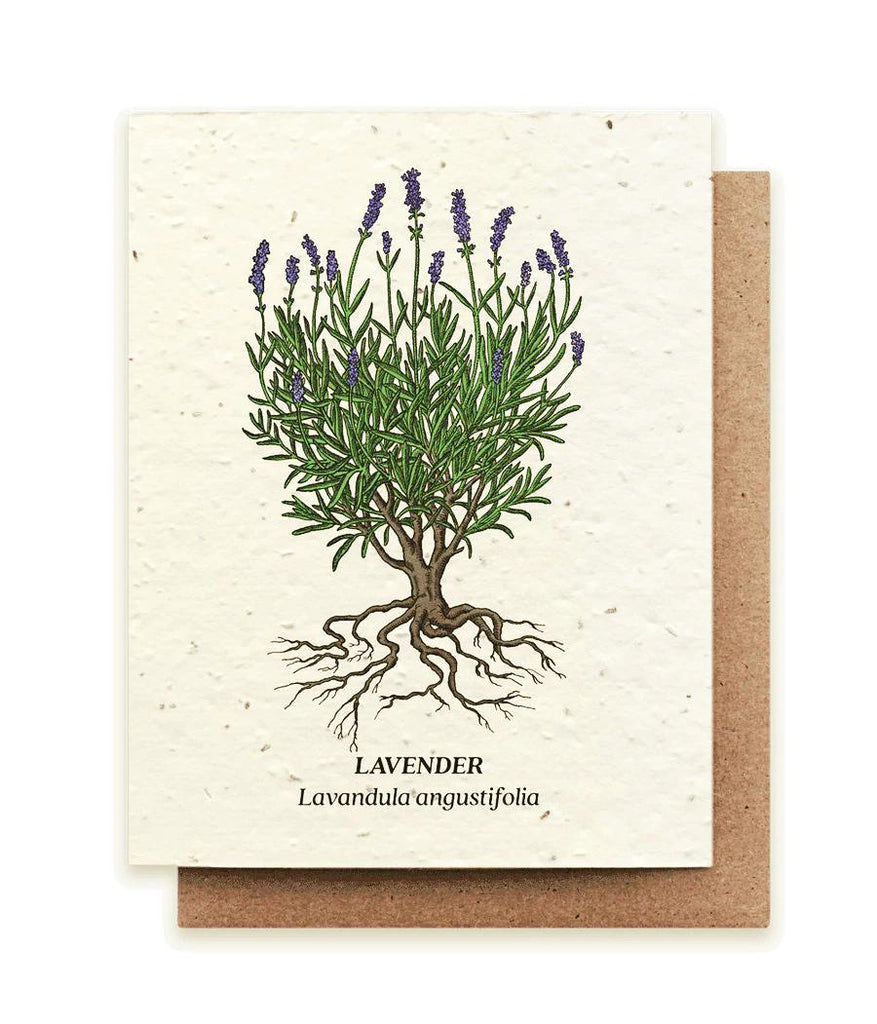 Card - Lavender Plantable Wildflower Seed Card by Small Victories