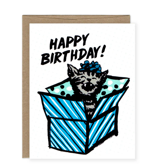 Card - Birthday - Happy Birthday Boxed Kitten by Orange Twist