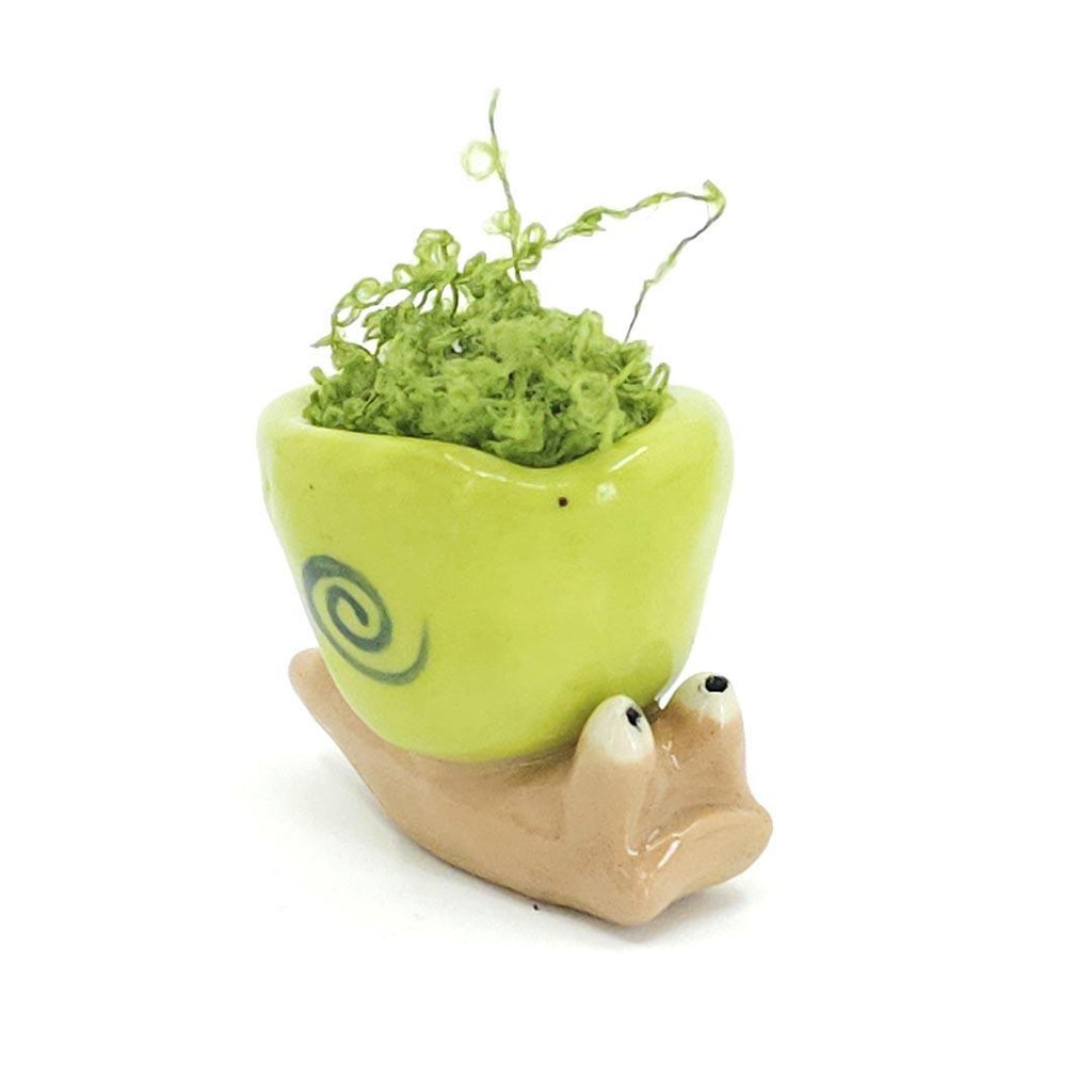 Collectible - Medium - Snail Tiny Planter  (Green Swirl) by Joyce Chen