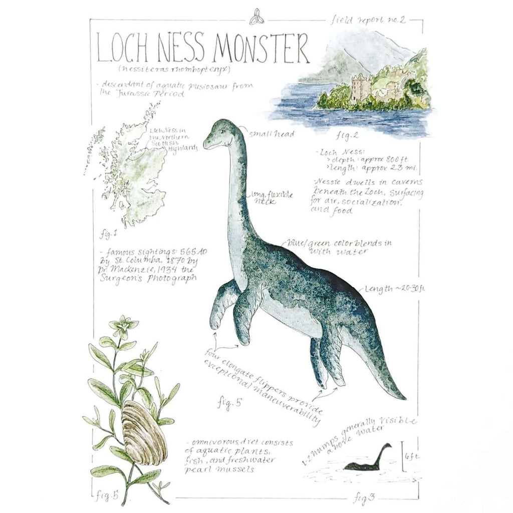 Art Print - 8x10 - Nessie the Loch Ness Monster Field Notes by Lizzy Gass