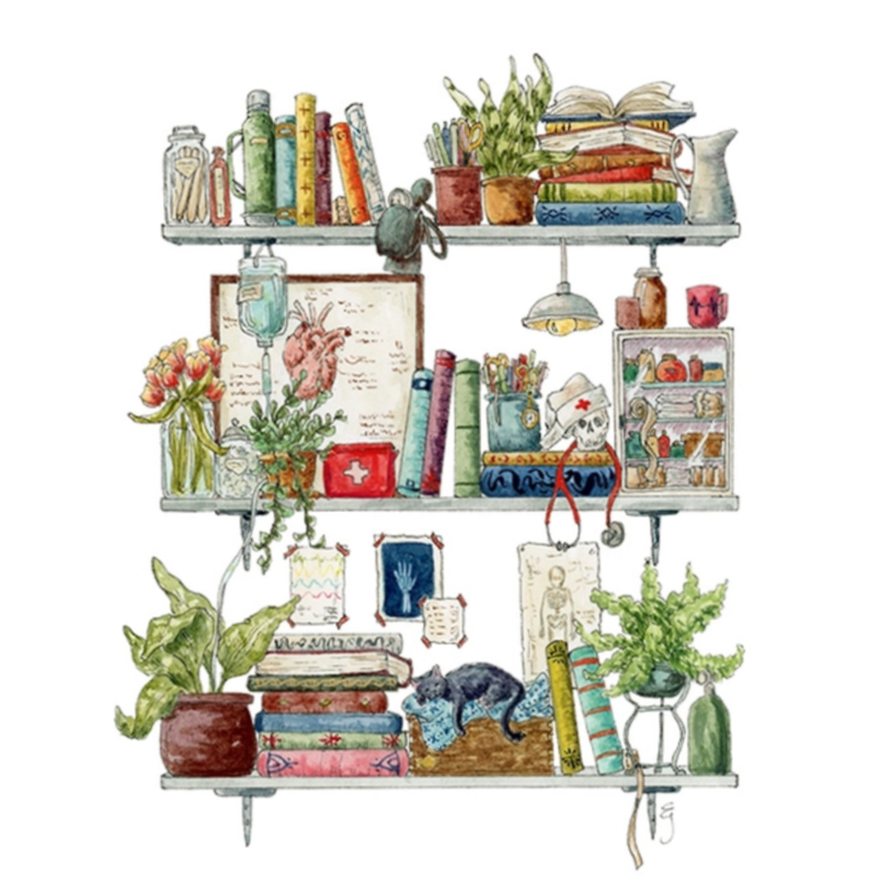 Art Print - 8x10 - The Nurse's Shelves by Lizzy Gass