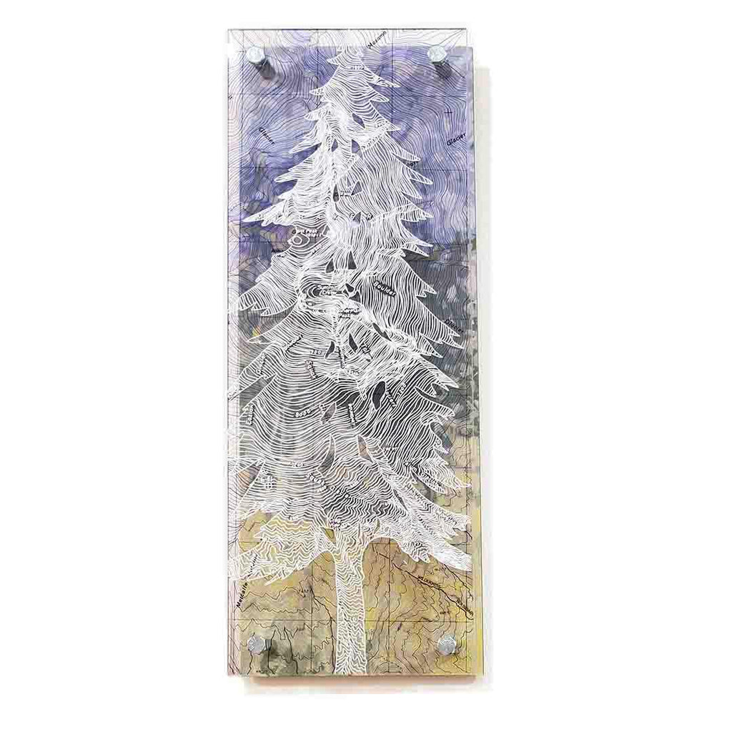 Wall Art - 6x16in - Pine Tree Mount Baker Floating Frame Map by Modern Terrain