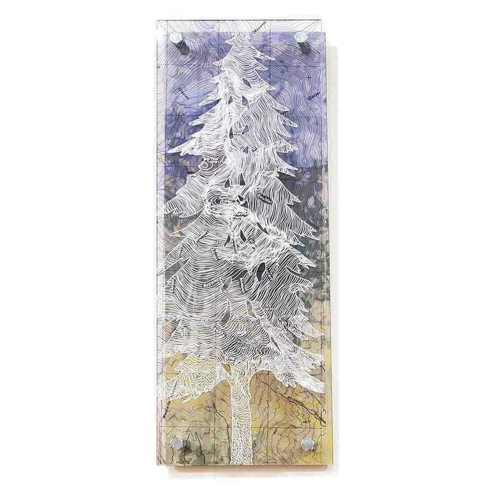 Floating Frame - 6x16 - Mt Baker Pine Tree Vertical by Modern Terrain