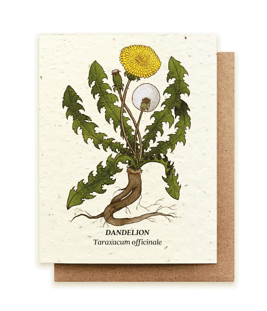 Card - Dandelion Plantable Wildflower Seed Card by Small Victories