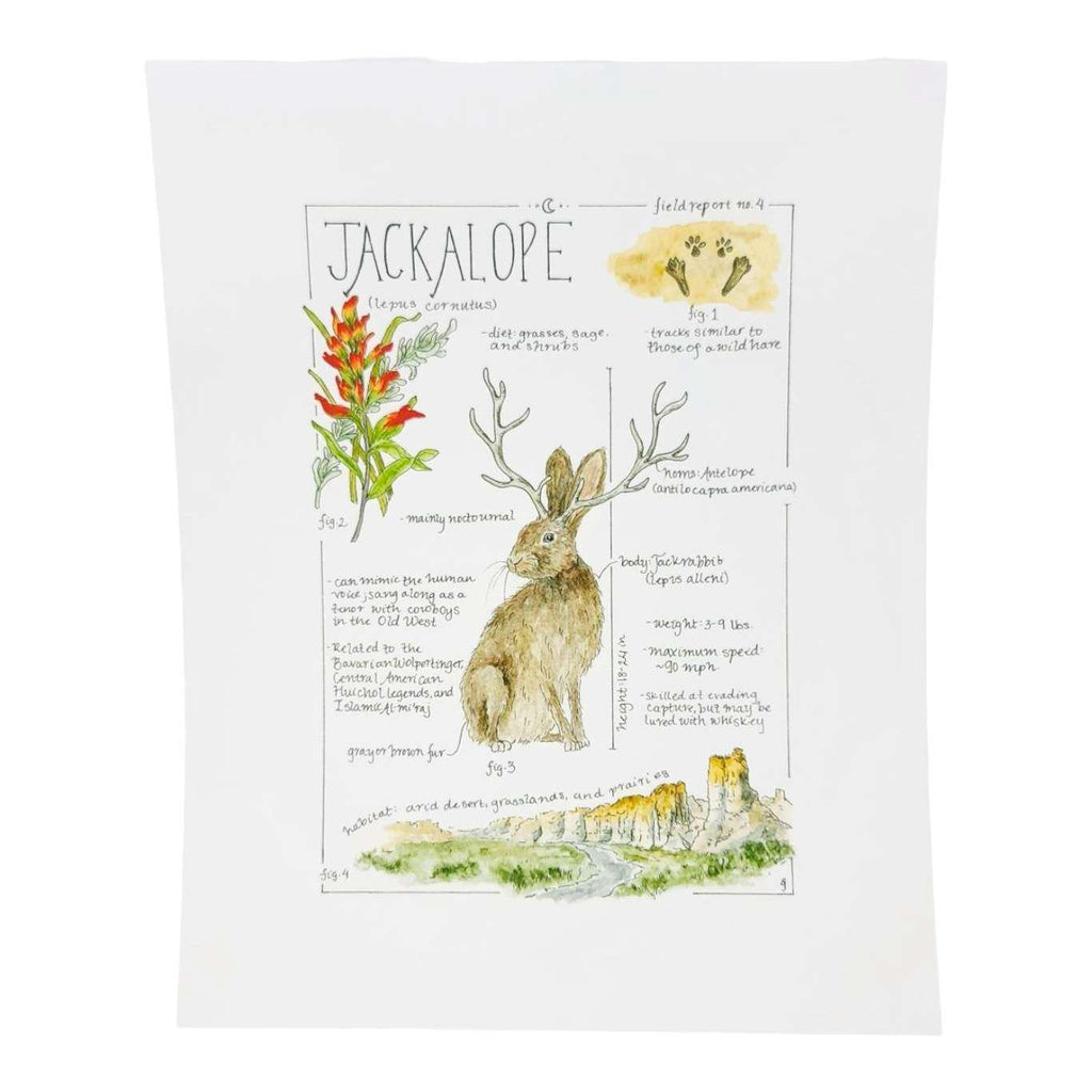 Art Print - 8x10 - Jackalope Field Notes by Lizzy Gass