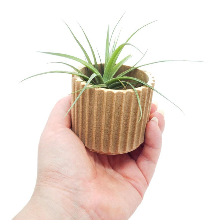 Planters - Mini Stockholm (Natural) by Minimum Design