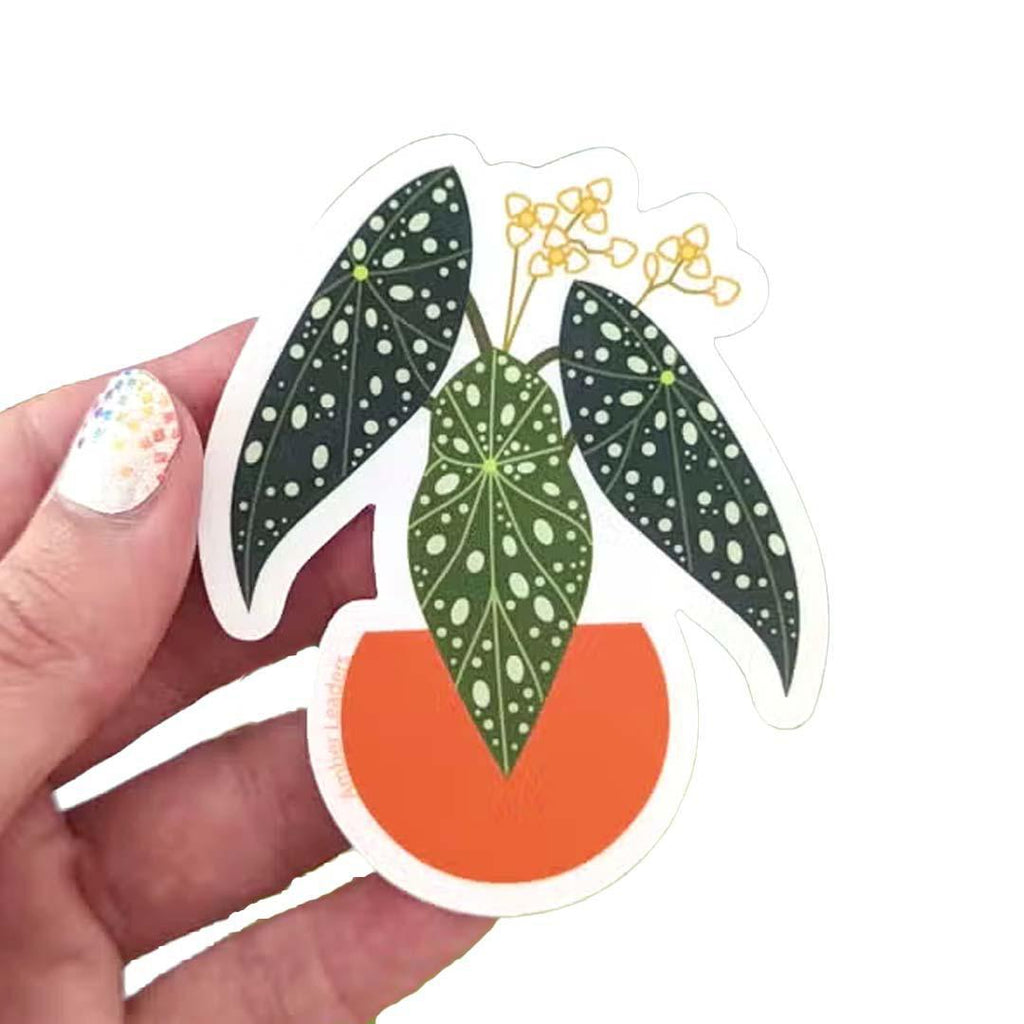 Sticker - Polka Dot Begonia by Amber Leaders Designs