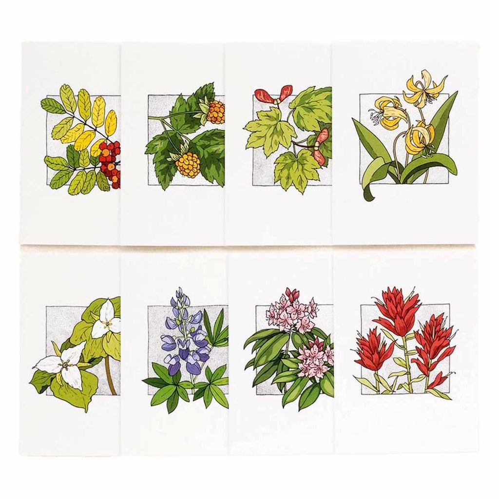 Card Set of 8 - All Occasion - PNW Native Plants by Lauren Nishizaki Designs