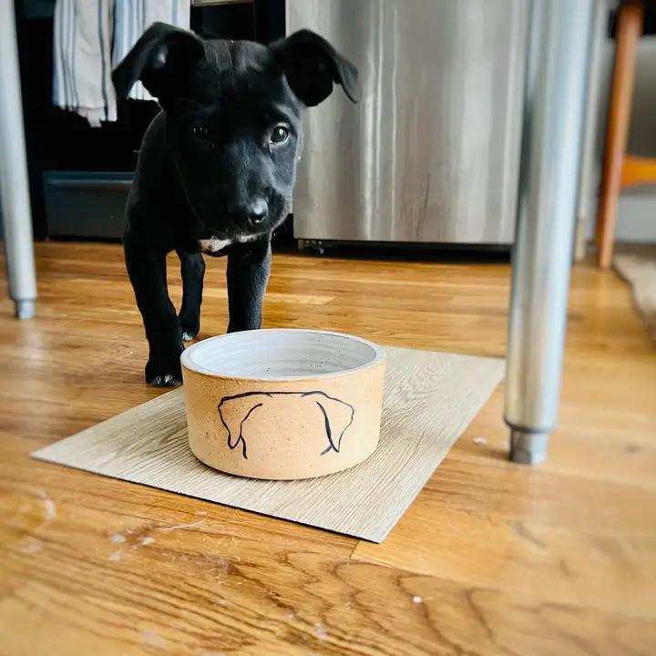 Pet Bowl - Mod Dog (Ceramic) by Hands On Ceramics