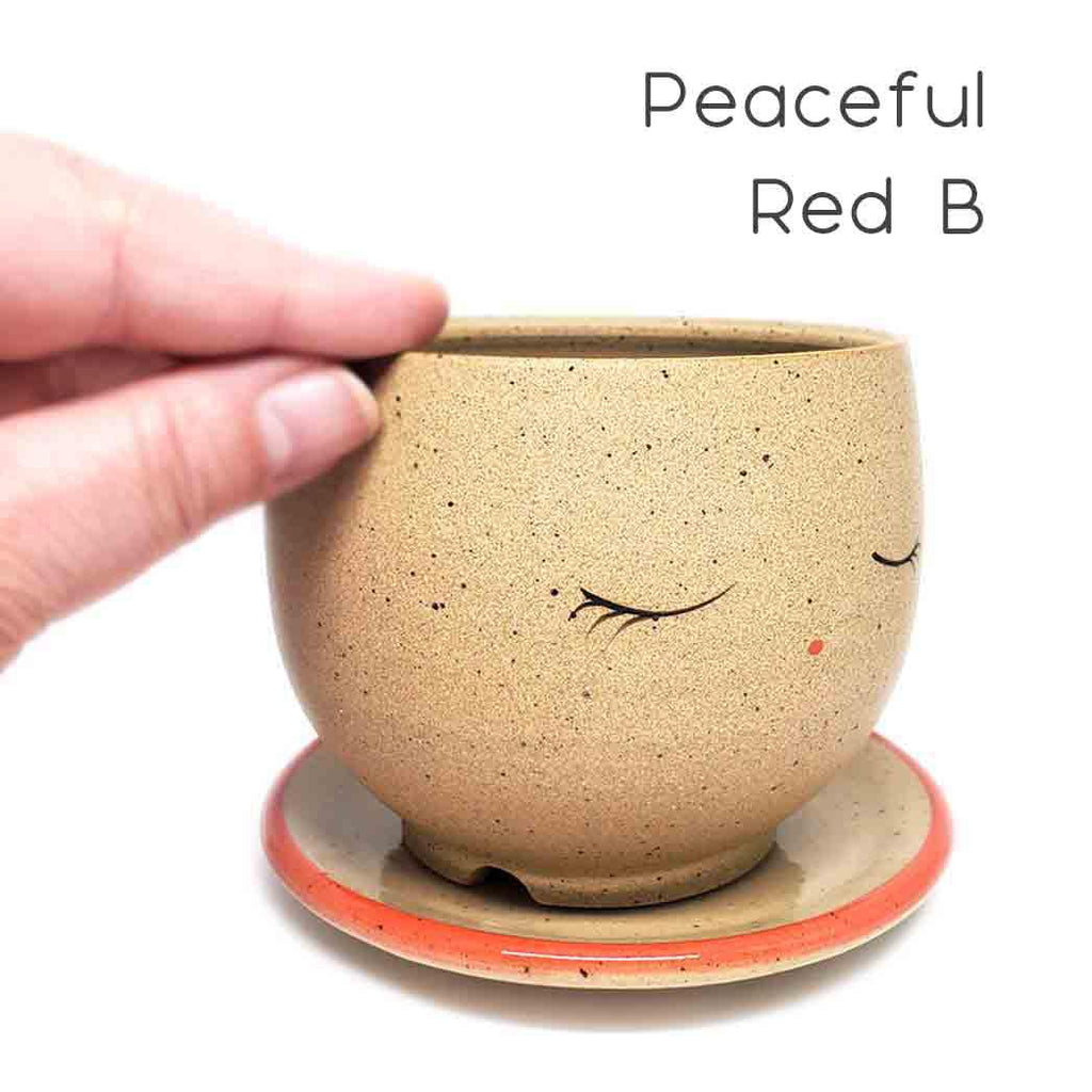 Planter - Peaceful - Blue or Red Saucer (A or B) by Jennifer Fujimoto
