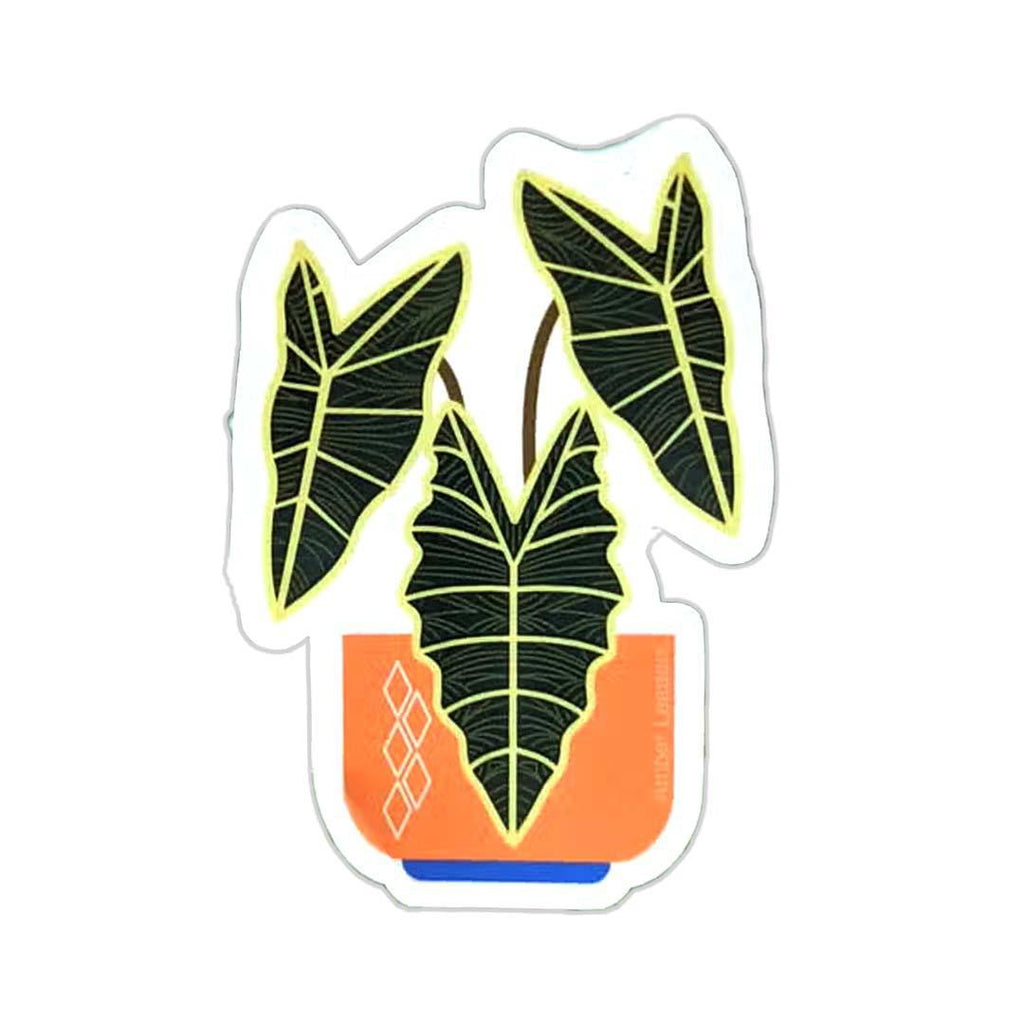 Sticker - Alocasia Amazonica by Amber Leaders Designs