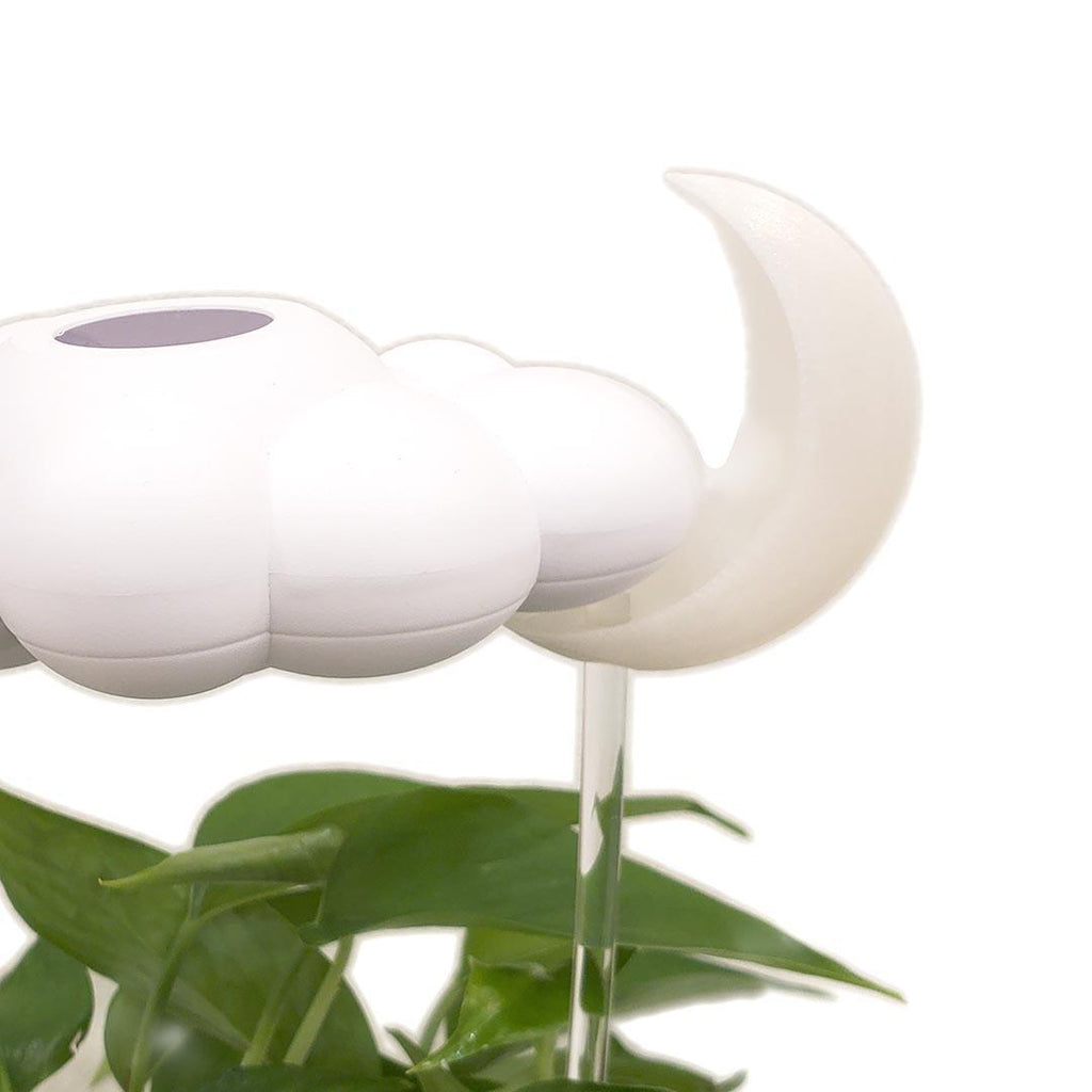 Bundle - White Cloud Plant Waterer with Choice of Charm by The Cloud Makers