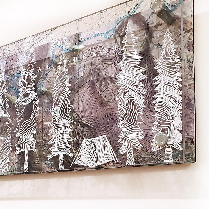 Wall Art - 16x6in - Trees and Tent Hoh Rain Forest Floating Frame Map by Modern Terrain