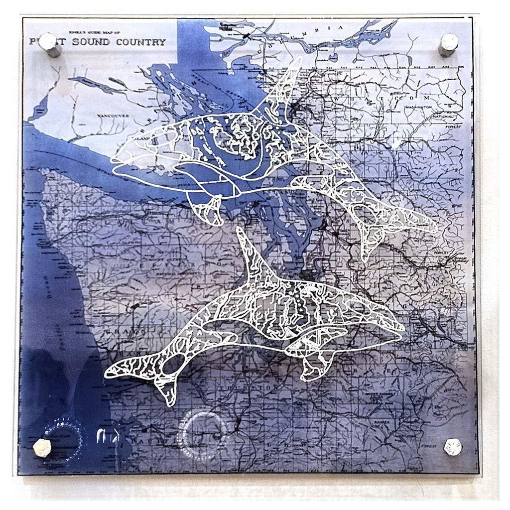 Wall Art - 12x12in - Orca Pair Puget Sound Region Floating Frame Map by Modern Terrain