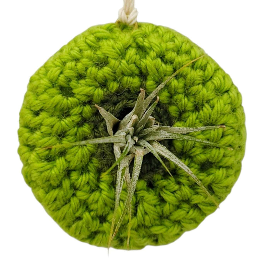 Ornament - Yarnicle Pod (Green) by World of Whimm