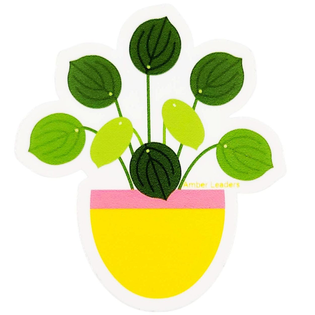 Sticker - Coin Plant by Amber Leaders Designs