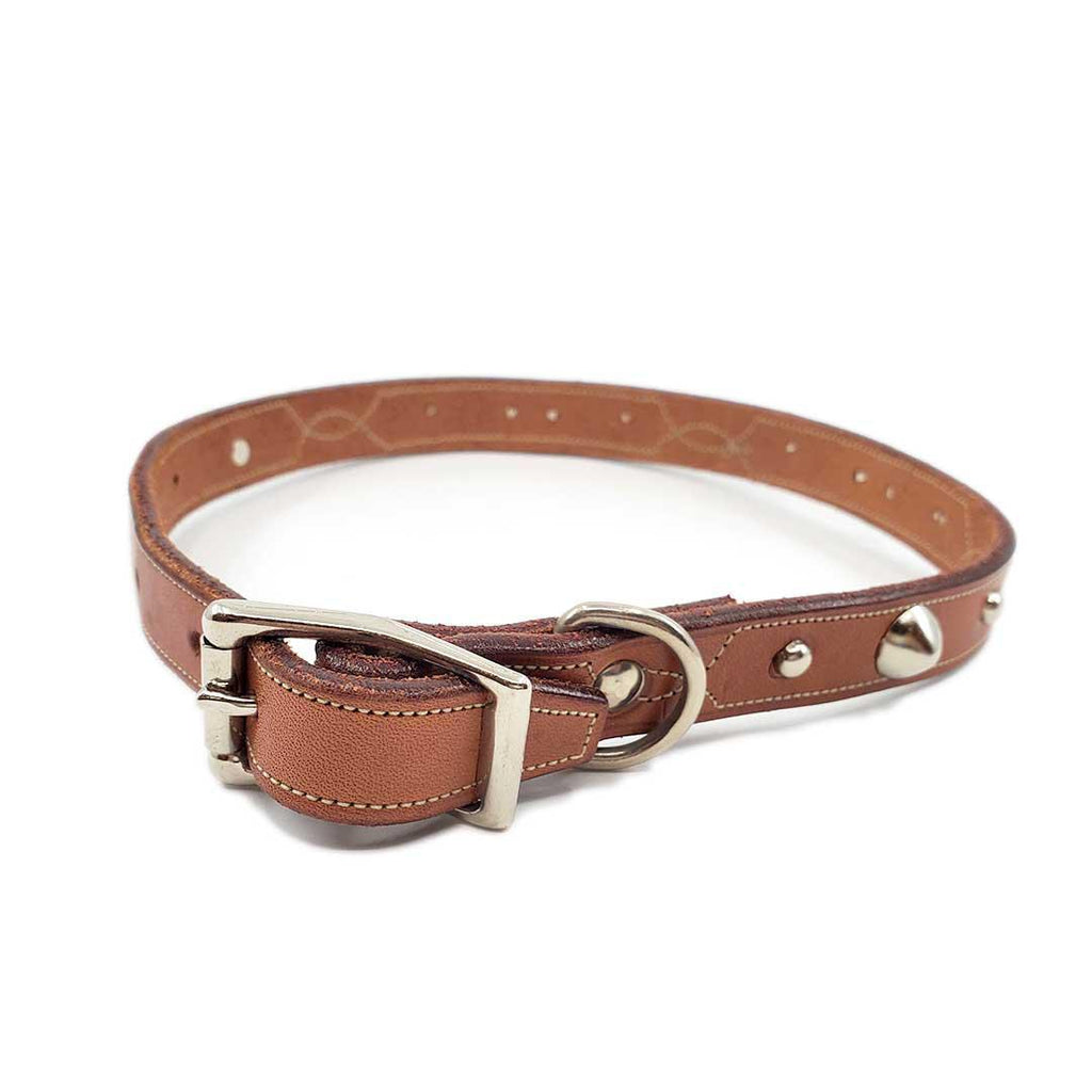 Dog Collar - M-L - Brown Stitch with Silver Studs by Greenbelts